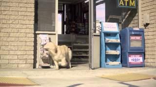 The 2013 Barkley Dog Family Subaru Commercial Compilation