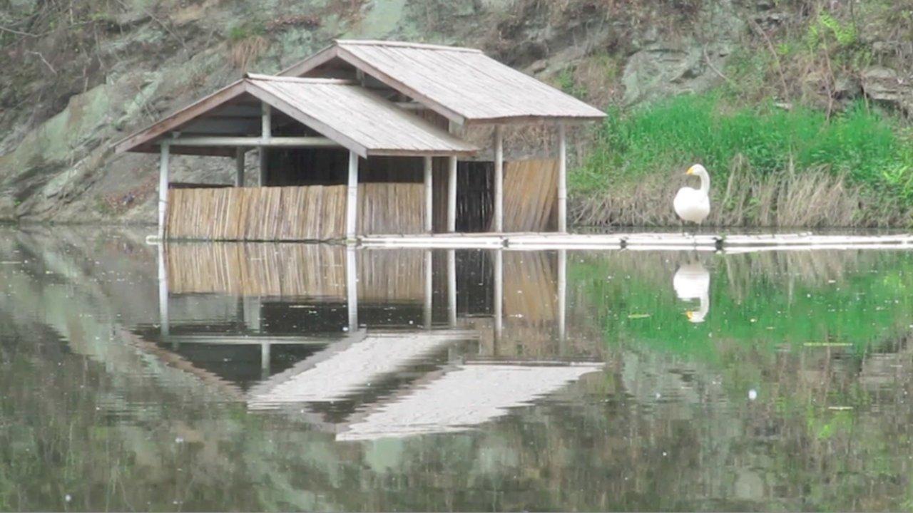 HD - The Lake House