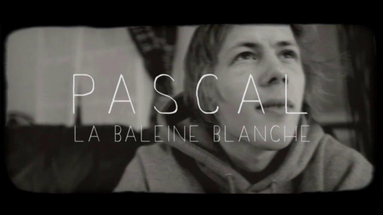 HD - Pascal - la baleine blanche