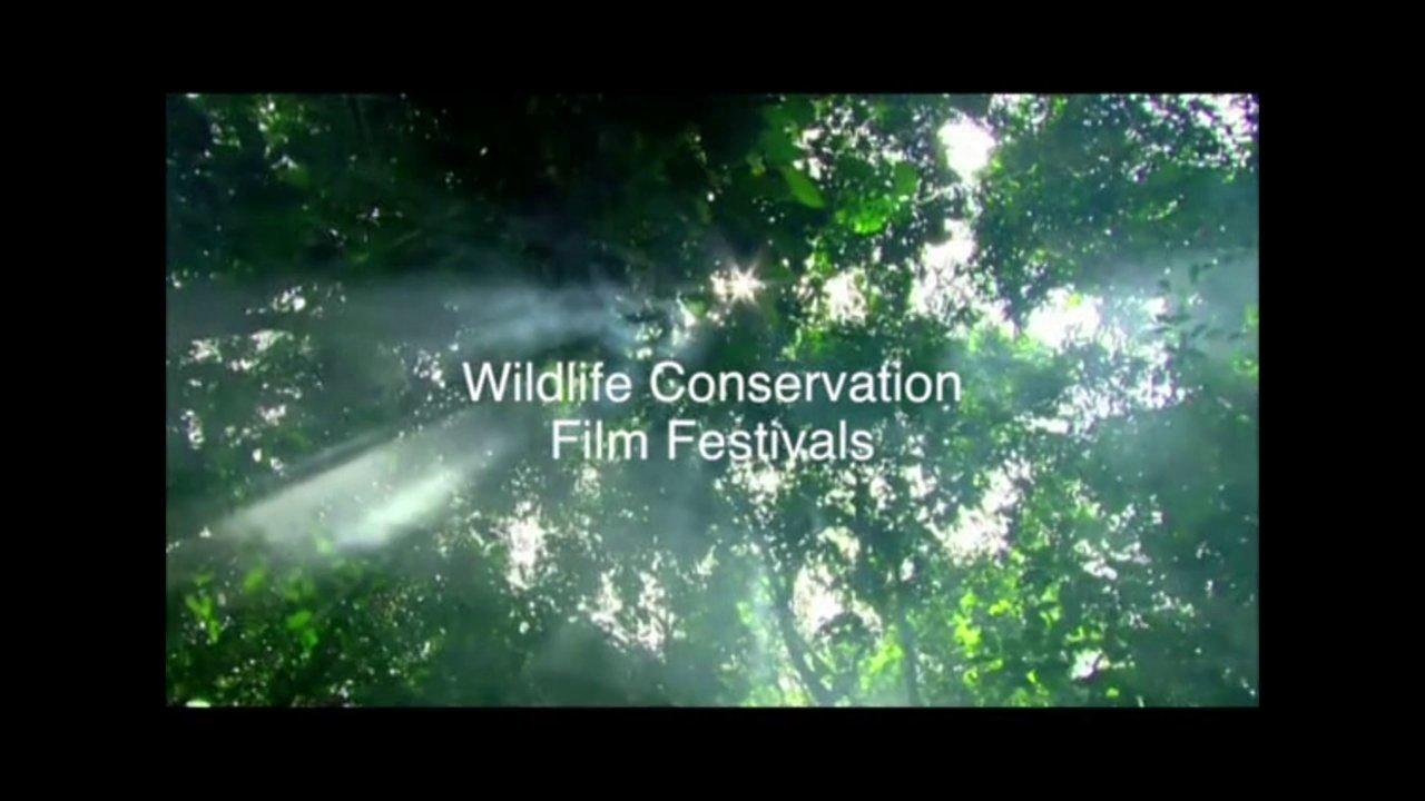 HD - Wildlife Conservation Film Festival 2014