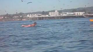 Surfer quasi inghiottito da una balena