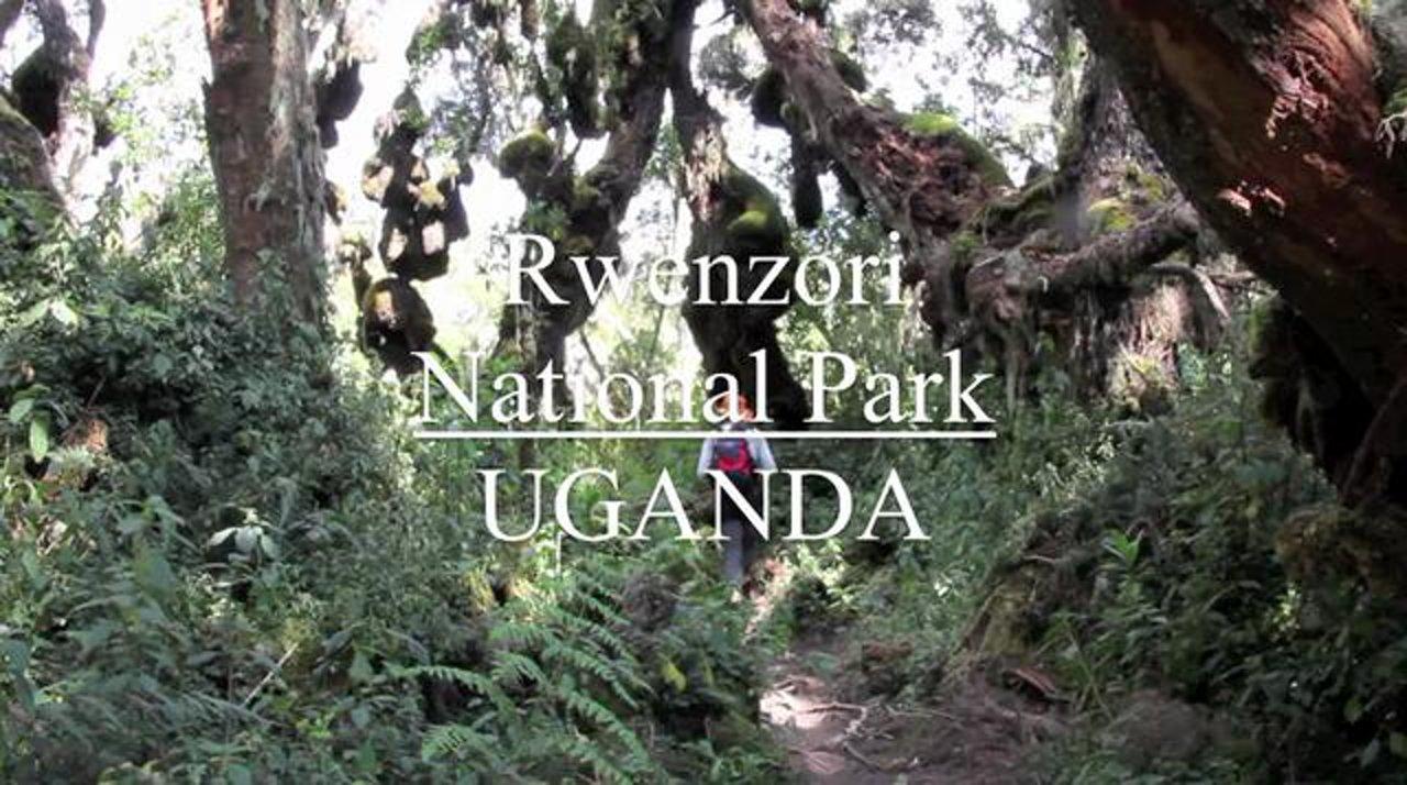 HD - Rwenzori National Park
