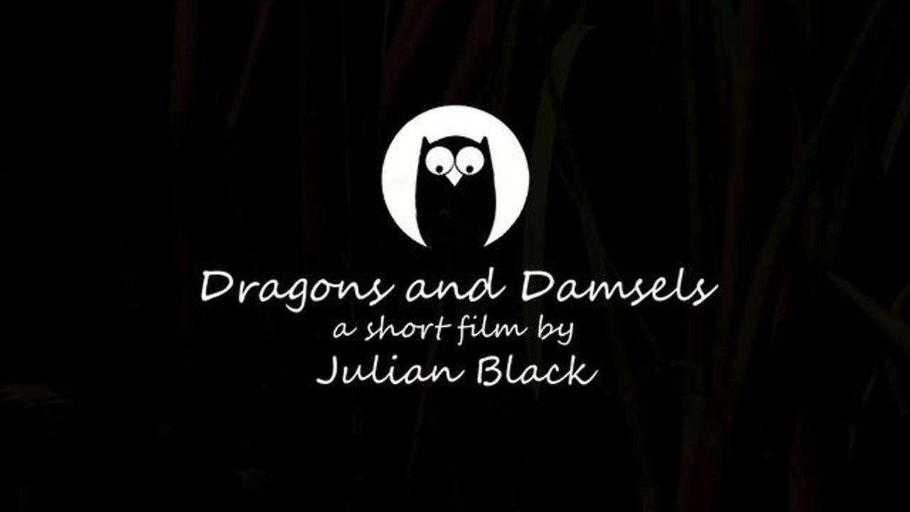 HD - Dragons and Damsels
