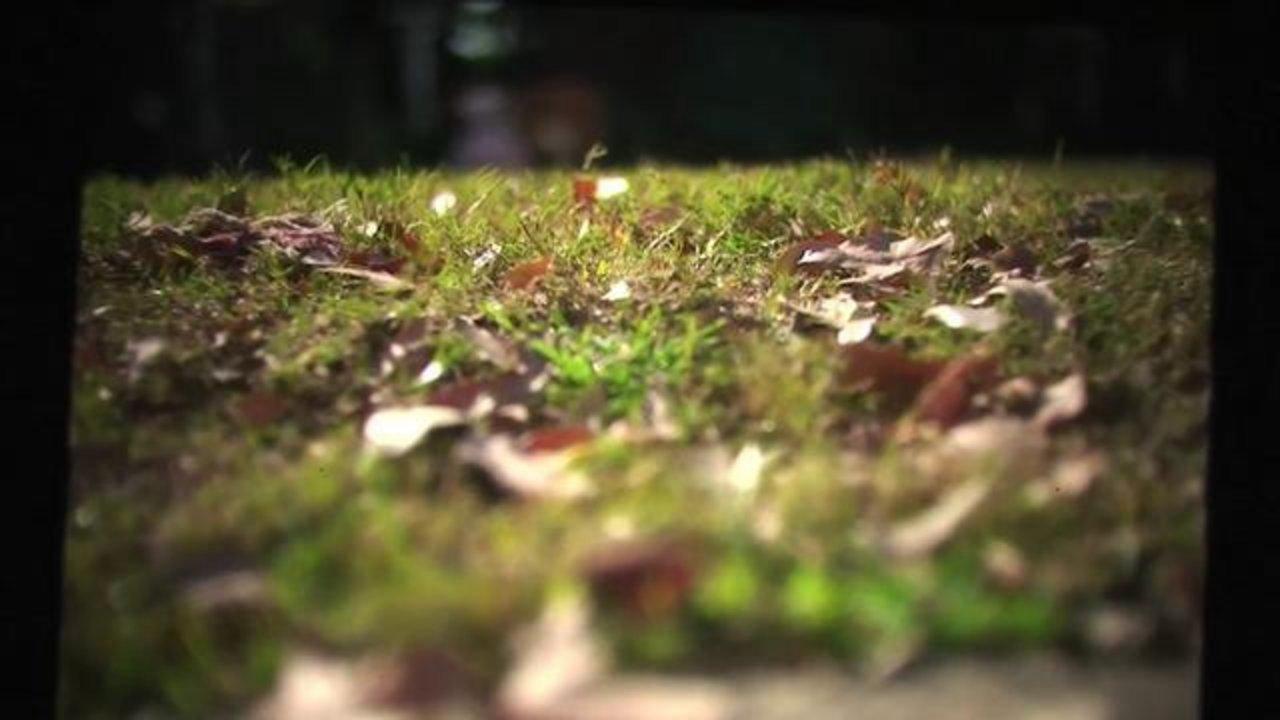 HD - 35mm DOF HD Sample 1