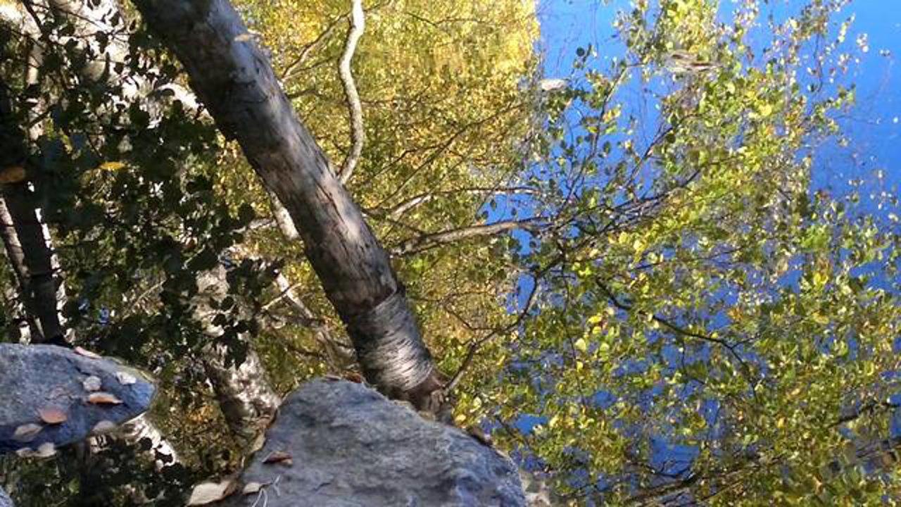 HD - Nokia N8 video - Finnish nature at autumn