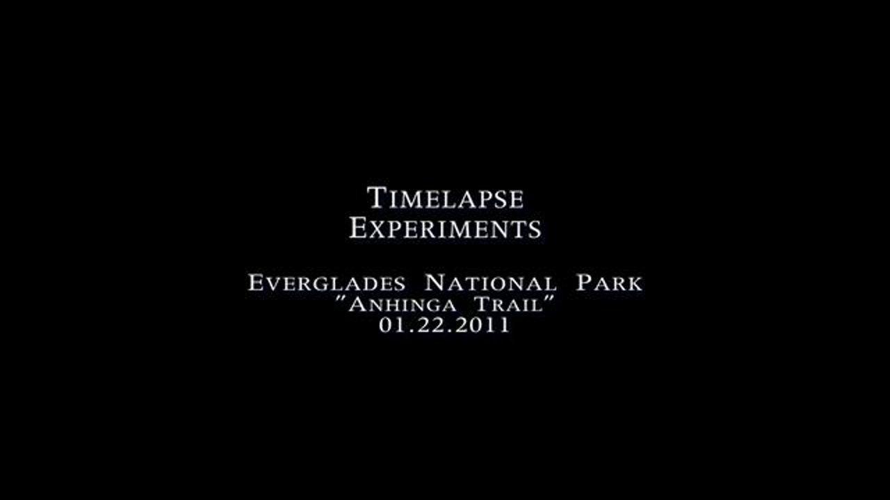 HD - Timelapse Experiments - Everglades National Park - "Anhinga Trail" 01.22.2011