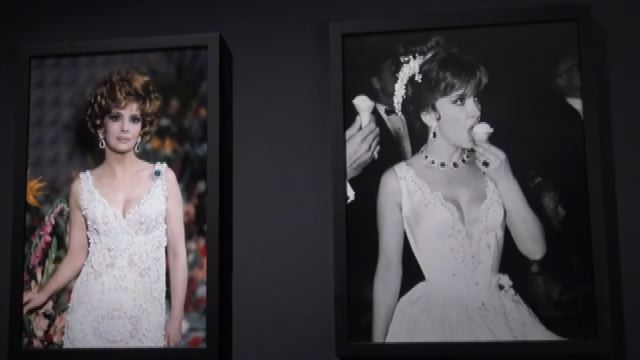 Tutti i mondi di Gina Lollobrigida in mostra a Roma