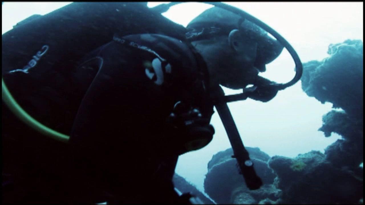 HD - Diving Tenerife - December 2009