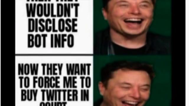 Twitter si rivolge a uno studio legale per la causa contro Musk