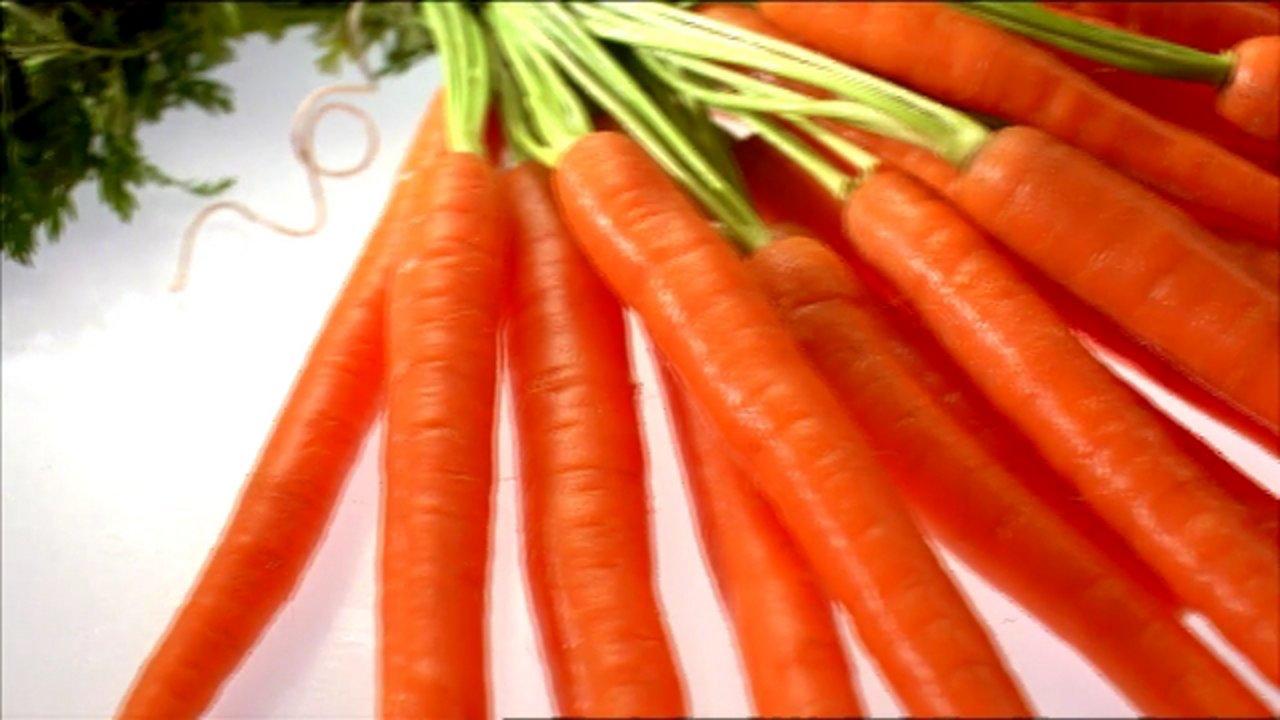 HD - Food Demo Reel 2009 - Center City Film and Video