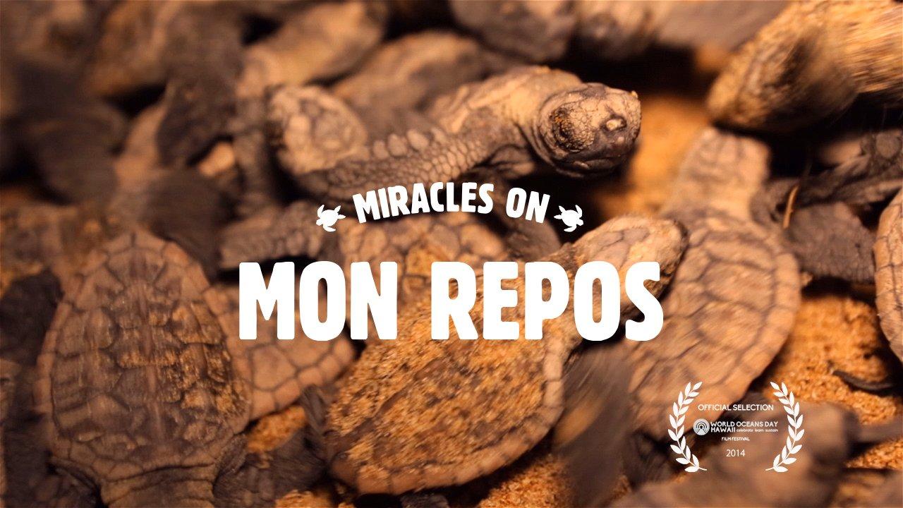 HD - Miracles on Mon Repos