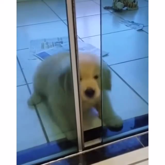 So sweetness