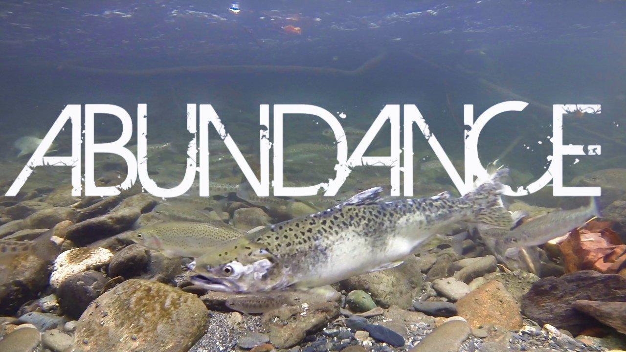 HD - River Snorkel: Abundance