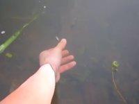 Fishing with bare hands