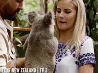Watch awkward moment farting koala bear ruins couple's first date and the woman reacts brilliantly
