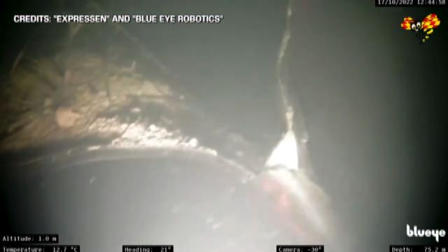 Un drone sub filma il Nord Stream: distrutto per almeno 50 metri