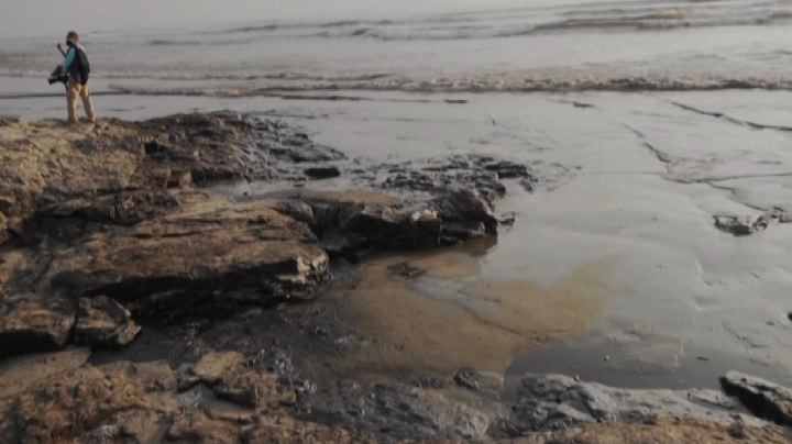Marea nera in Perù, impatto enorme su acque e specie