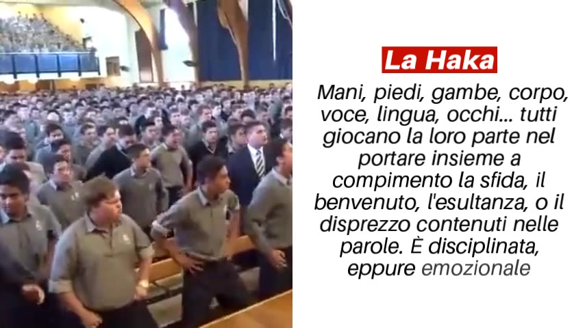 Danza Maori: Origini e Significato della Haka