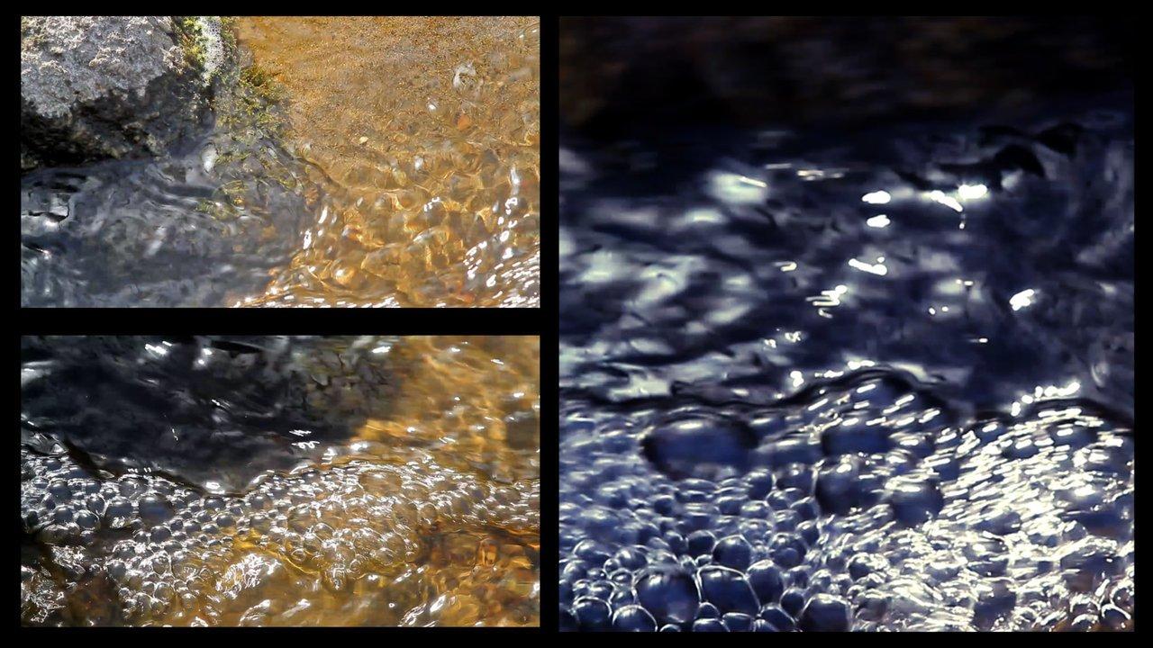HD - Another Boring Nature Short [Canon 7D]