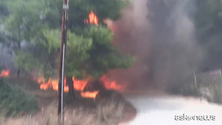 Incendi in Grecia: almeno 50 morti e 100 feriti