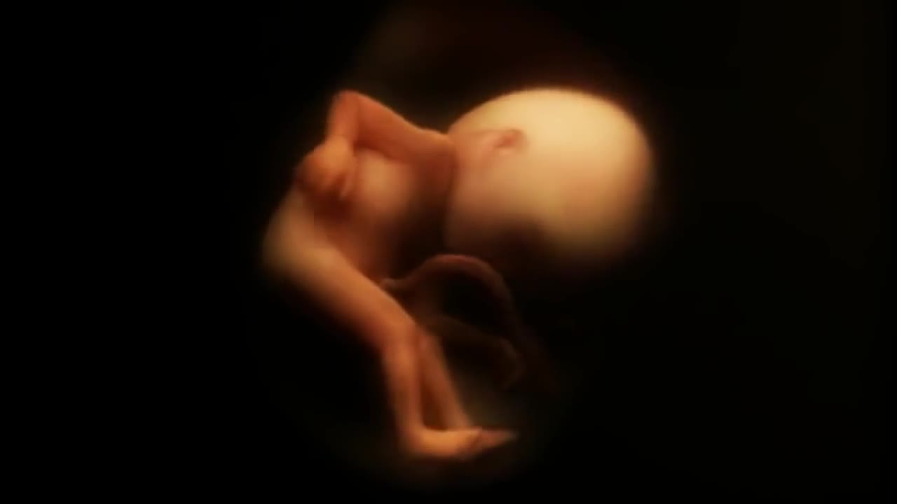 miracolo della vita