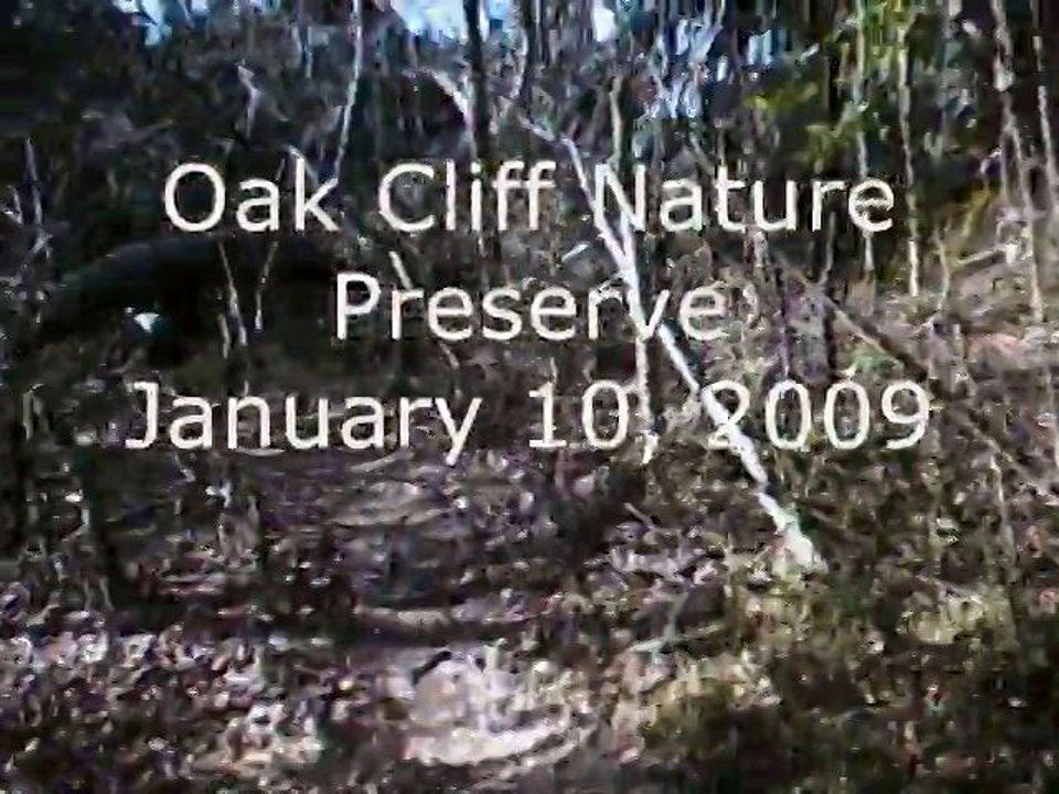 HD - Oak Cliff Nature Preserve January 10, 2009