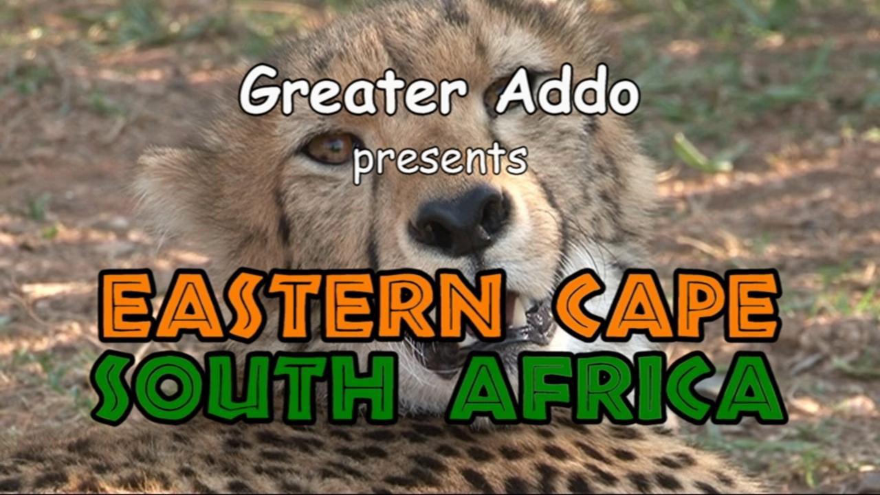 HD - Greater Addo, Eastern Cape, South Africa